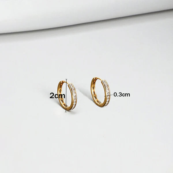Huggie Hoop Earrings
